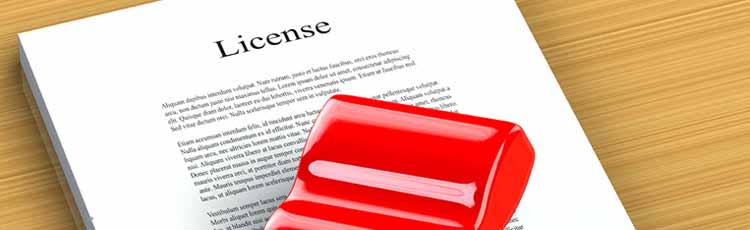 Import Export Licence Services in New Delhi